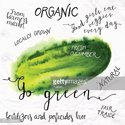 416x416 Watercolor Cucumber Premium Clipart - Watercolor Cucumber