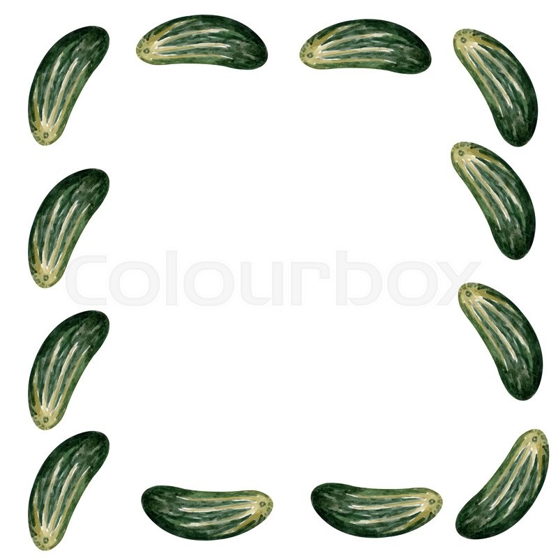800x800 Watercolor Cucumber Frame In Vector Stock Vector Colourbox - Watercolor Cucumber