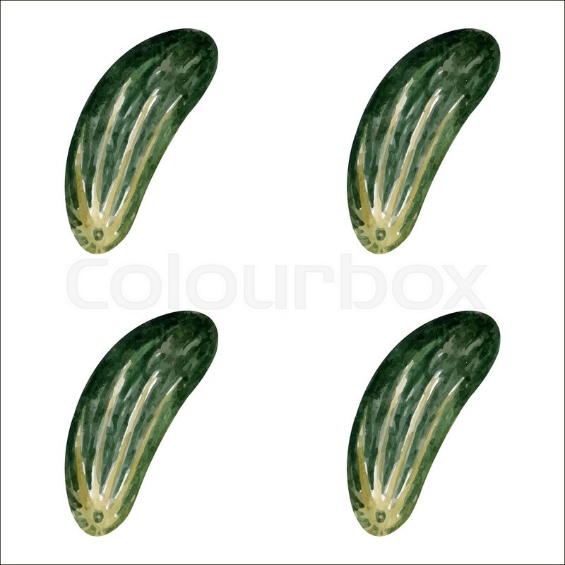 800x800 Watercolor Cucumber Seamless Pattern In Vector Stock Vector - Watercolor Cucumber