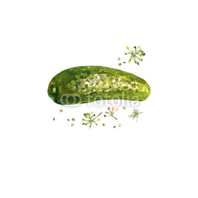 400x400 Watercolor Pickle With Greenery. Hand Drawn Isolated Cucumber - Watercolor Cucumber