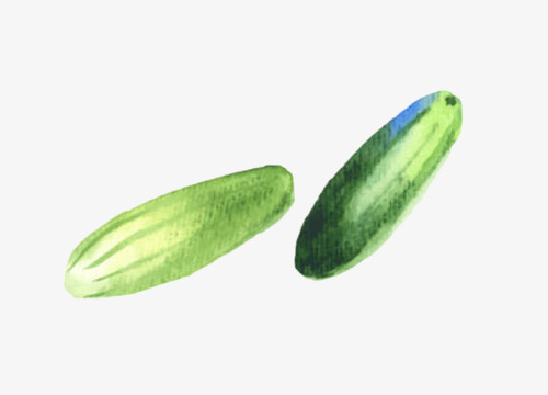 500x360 Cucumber Watercolor, Painted, Blue, Vegetables Png And Psd File - Watercolor Cucumber