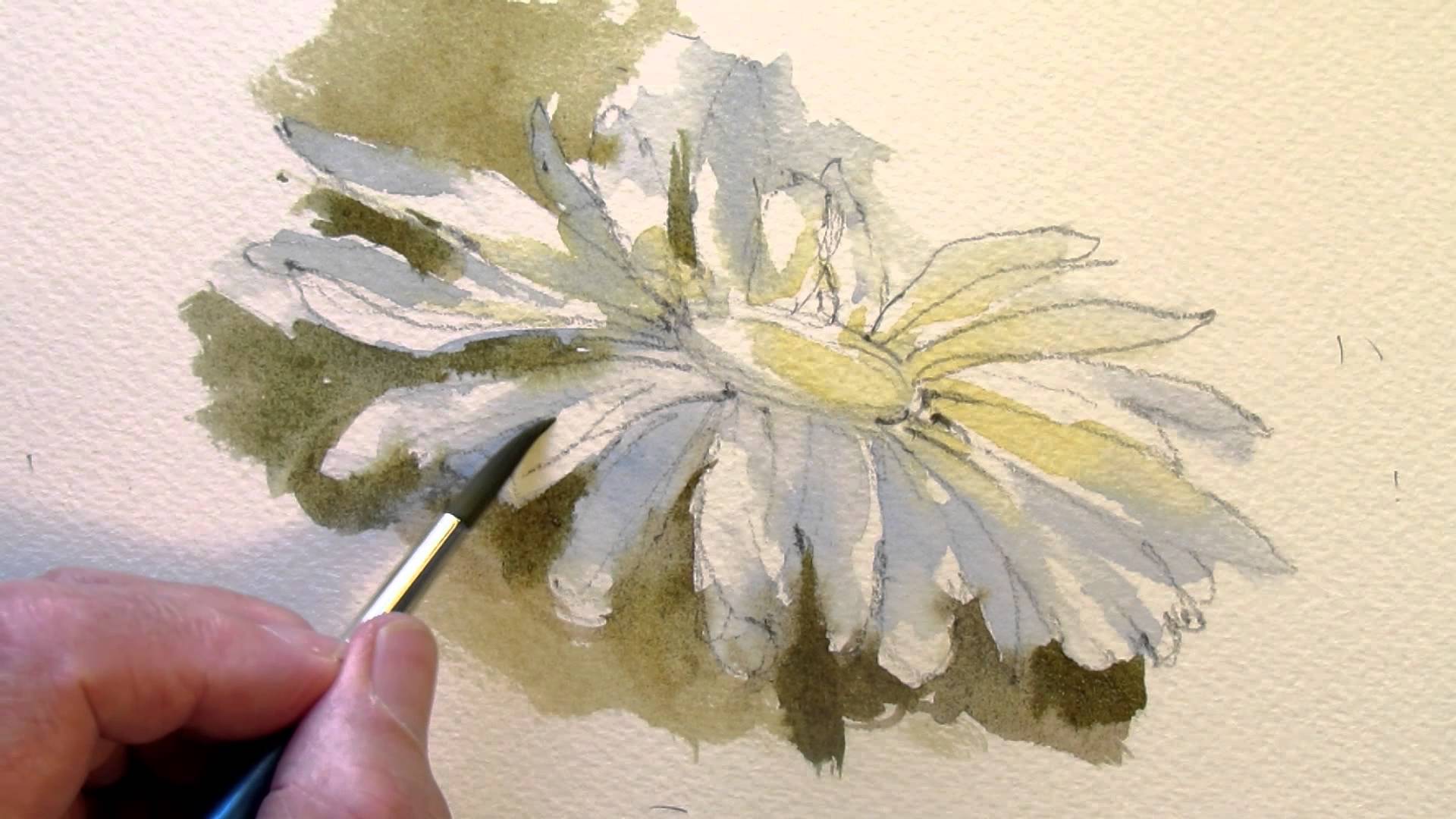 1920x1080 How To Paint A Daisy - Watercolor Daisy