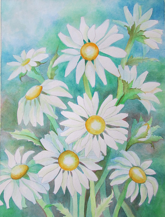 527x690 Painting Daisies Using Negative Watercolor Painting - Watercolor Daisy