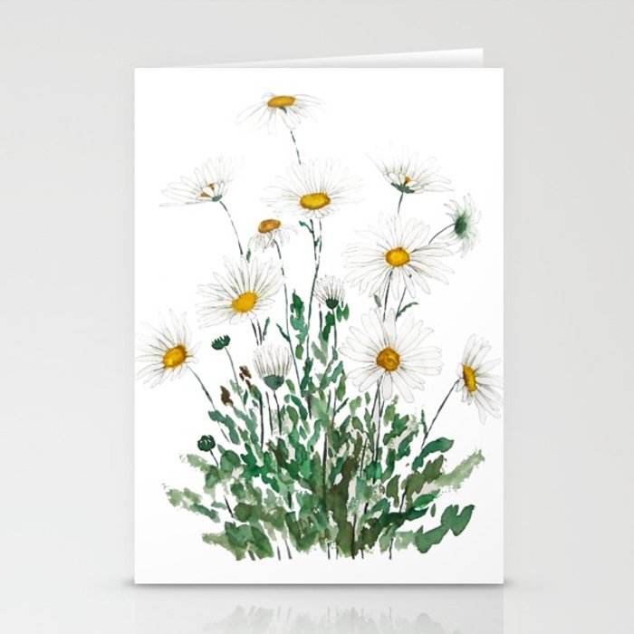 700x700 White Margaret Daisy Watercolor Stationery Cards By Colorandcolor - Watercolor Daisy