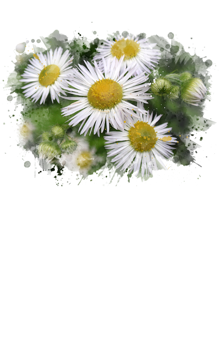 452x700 Daisy Watercolor Art Carry All Pouch For Sale By Christina Rollo - Watercolor Daisy