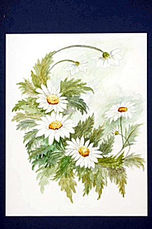 300x450 Floral Watercolor - Watercolor Daisy Paintings