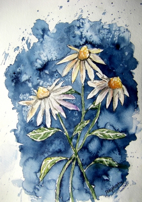 282x400 Flower Watercolor Paintings And Art Prints - Watercolor Daisy Paintings