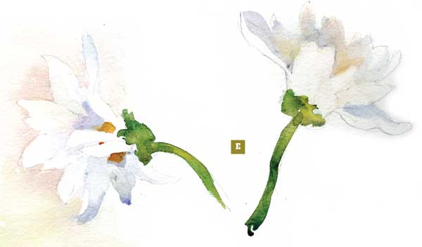 600x352 How To Paint A Watercolor Floral Still Life Step By Step Artist - Watercolor Daisy Paintings