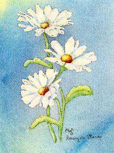 234x315 Jean Skelton Original Art Newest Watercolor Paintings Of Flowers - Watercolor Daisy Paintings
