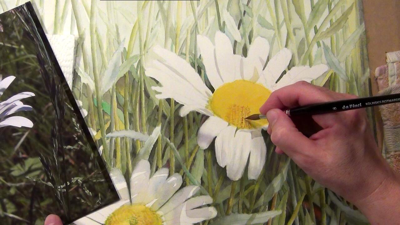 1280x720 Video Online Daisy Amp Rhodie Watercolor Amp Oil Paintings Of Roses - Watercolor Daisy Paintings