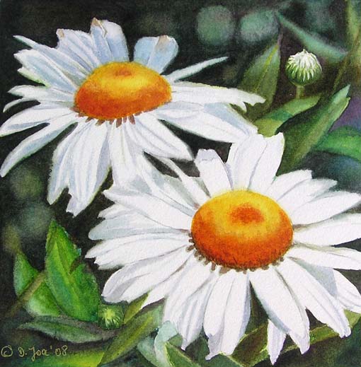 510x519 And Some Daisies Watercolor Amp Oil Paintings Of Roses And Flowers - Watercolor Daisy Paintings