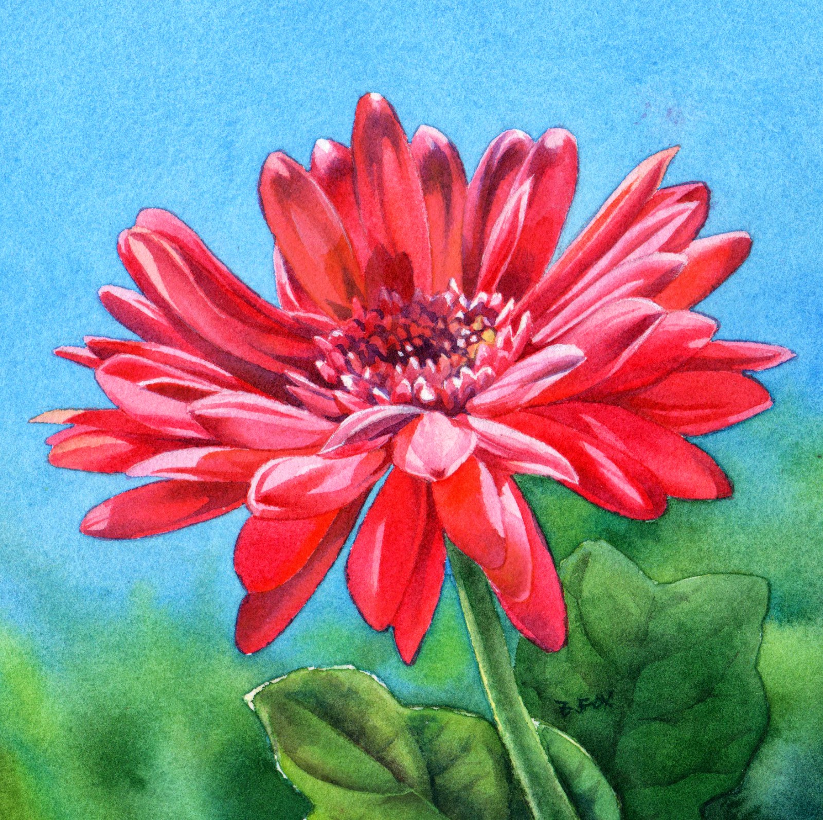 1600x1594 Barbara Fox - Watercolor Daisy Paintings