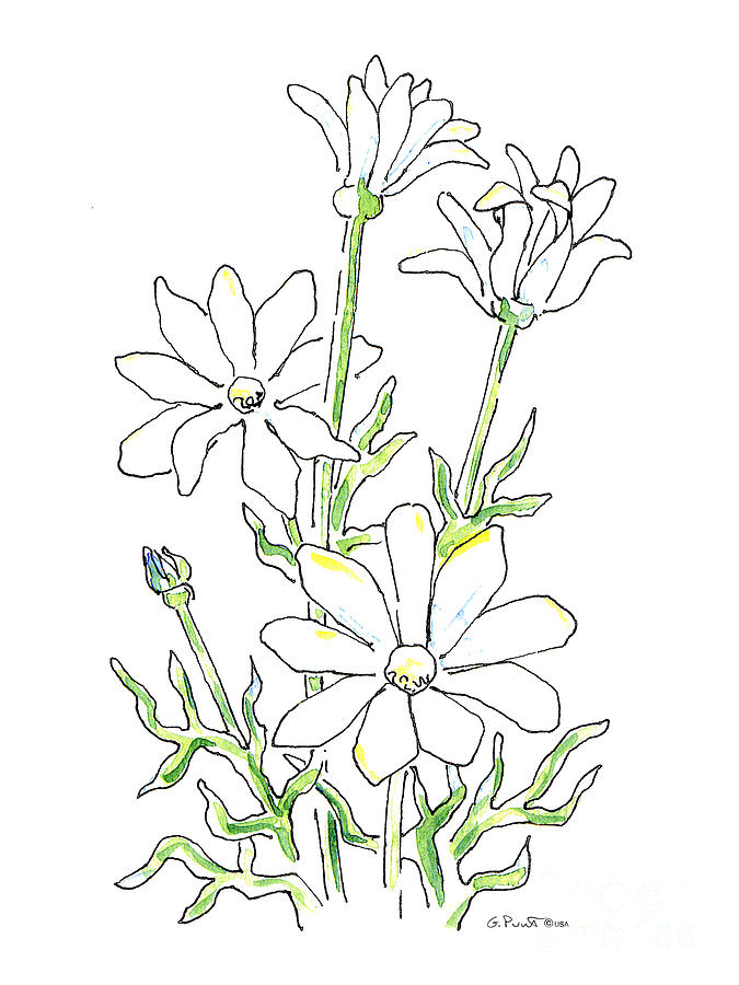 675x900 Daisy Watercolor Painting 3 Painting By Gordon Punt - Watercolor Daisy Paintings