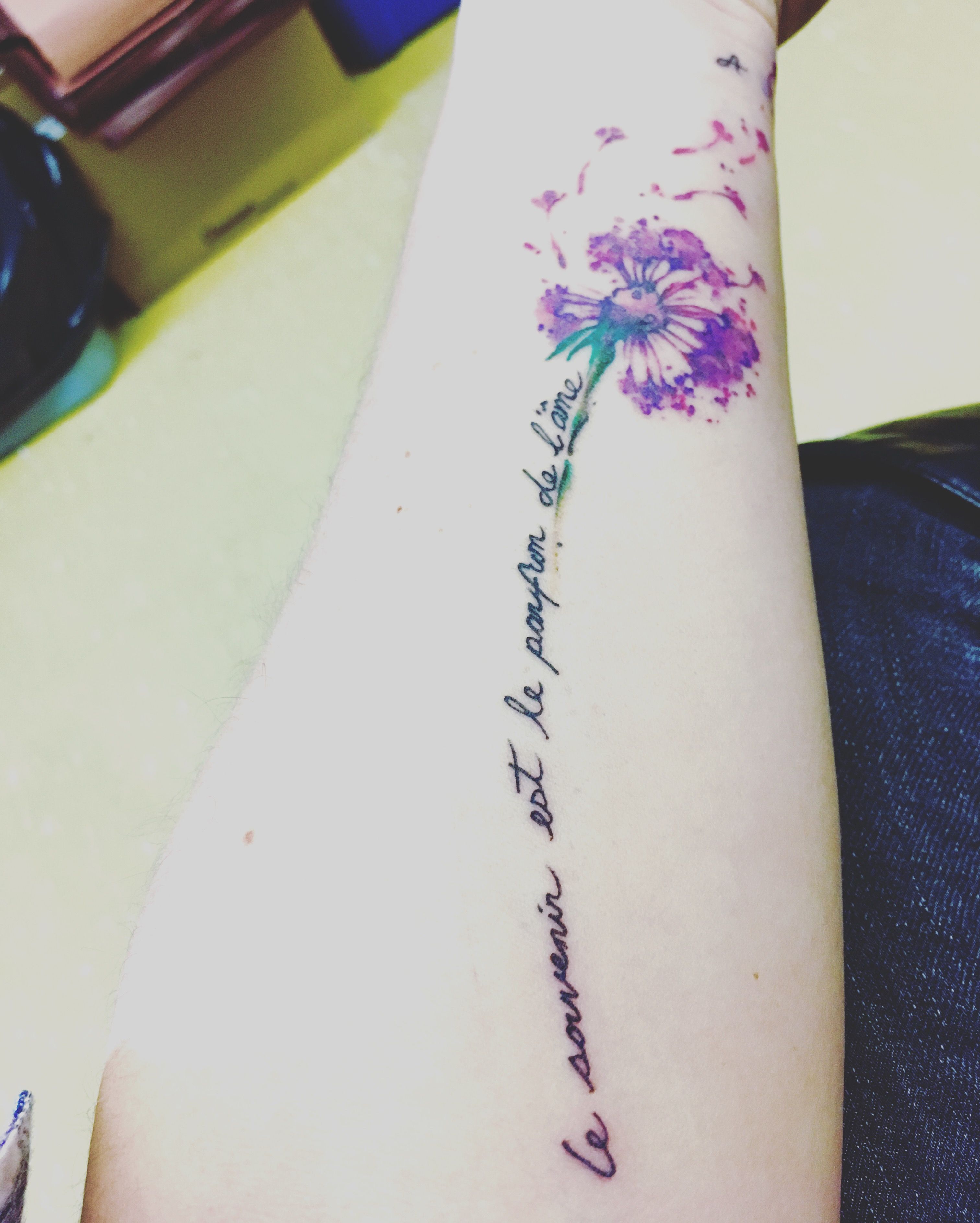 3024x3775 Image Result For Watercolor Dandelion Tattoo Tattoo Ideas - Watercolor Dandelion Tattoo