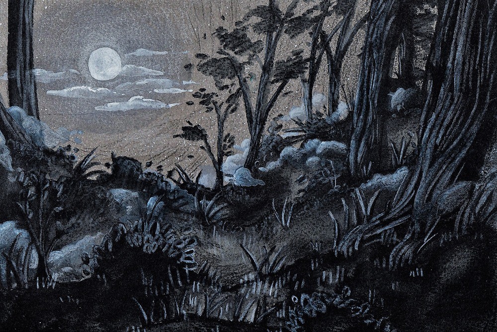1000x667 Dark Forest - Watercolor Dark Forest