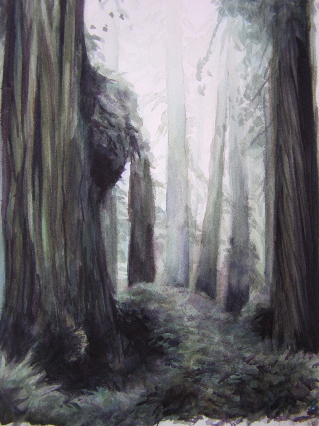 1024x1365 Watercolor Forest By Laughingastarael - Watercolor Dark Forest