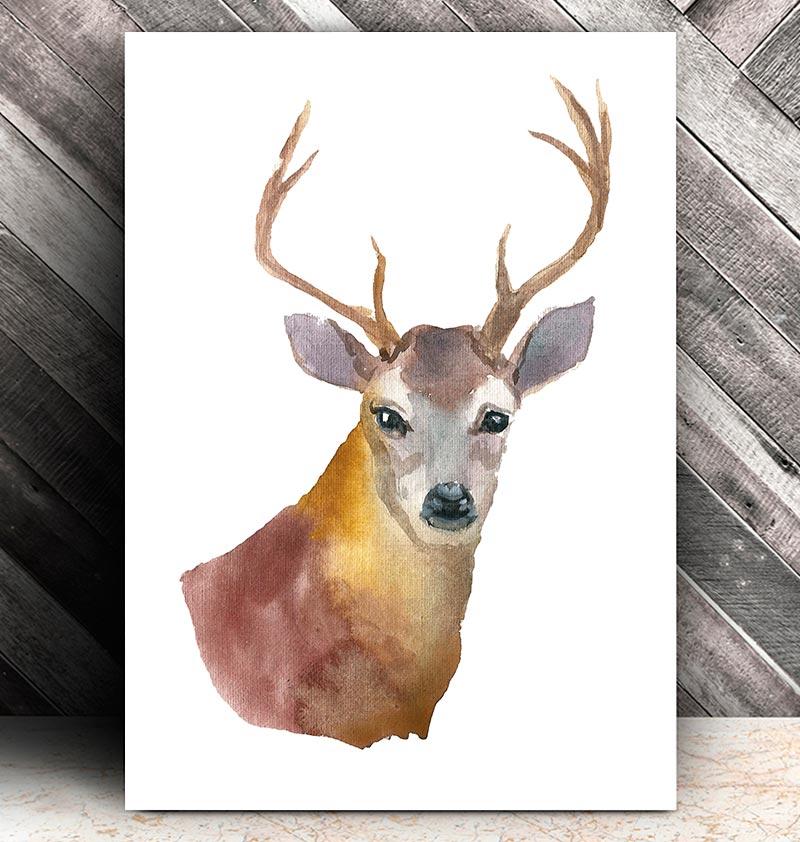 800x842 Deer Head Ii - Watercolor Deer Head