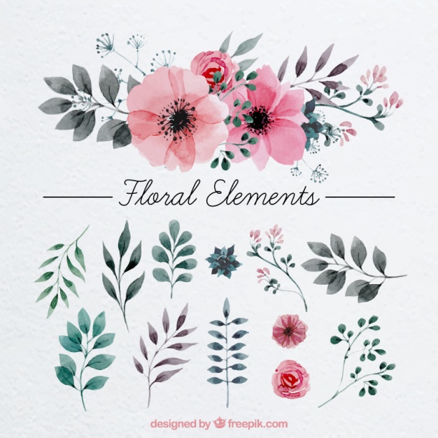 626x626 Floral Decoration Painted With Watercolor Vector Free Download - Watercolor Design Elements