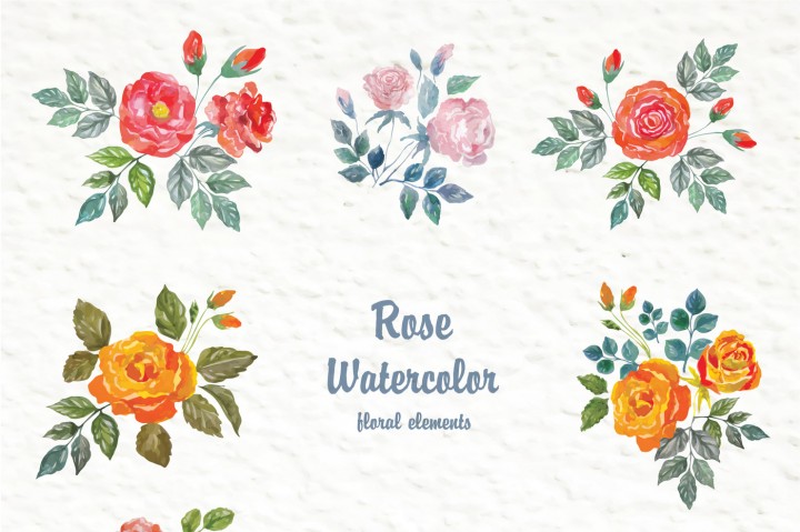720x479 Floral Watercolor Design Elements. By Designwork - Watercolor Design Elements