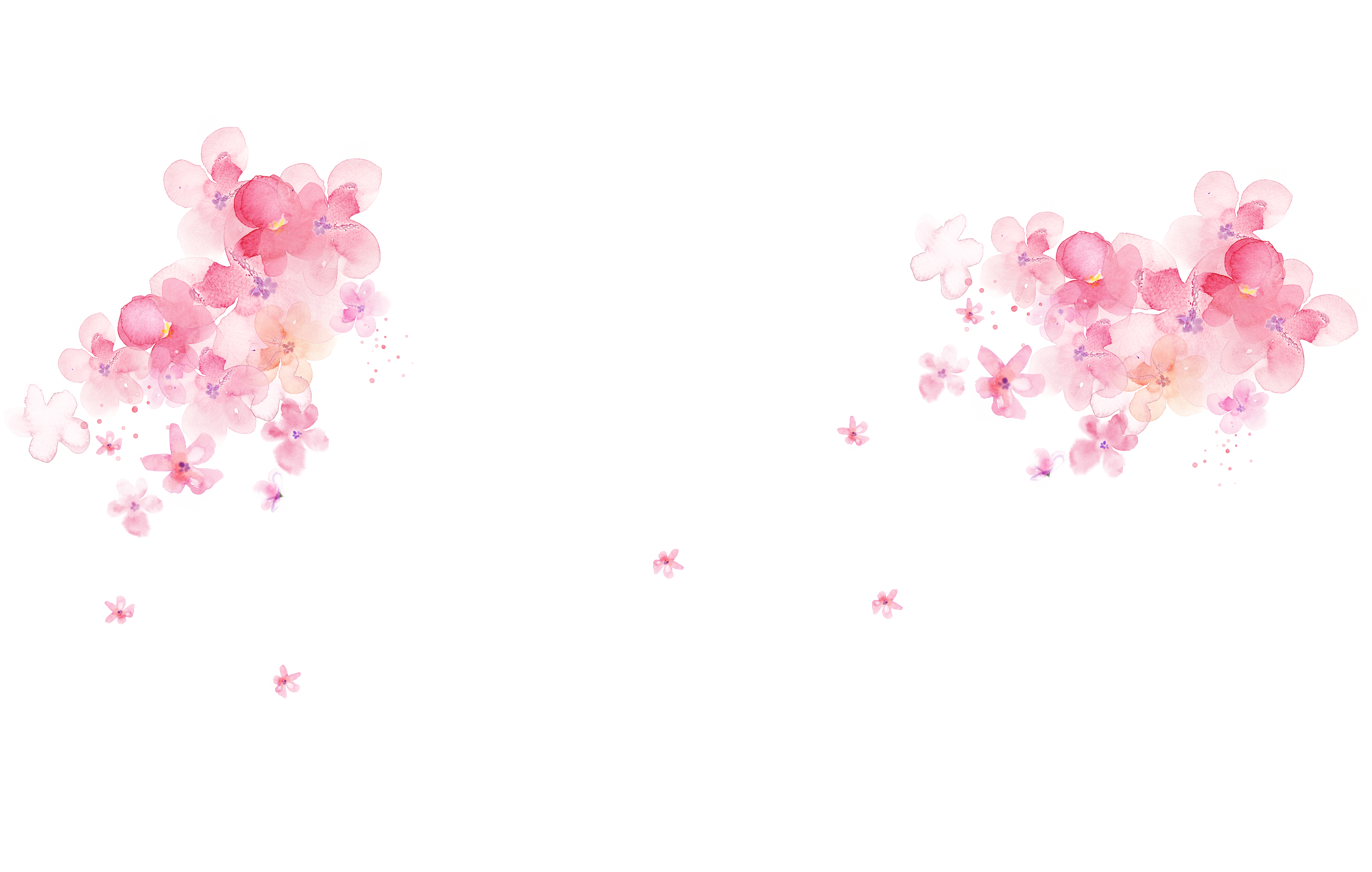 4330x2752 Pink Watercolor Painting Flower Desktop Wallpaper - Watercolor Desktop