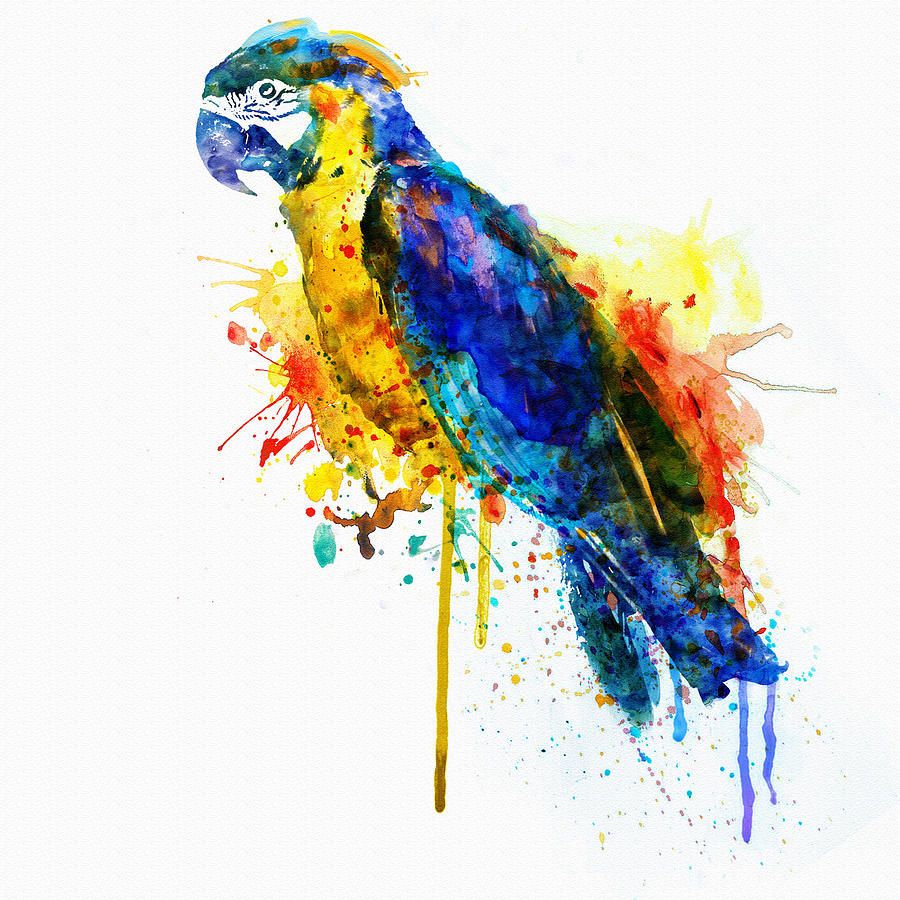 900x900 Parrot Watercolor Painting By Marian Voicu - Watercolor Digital Art