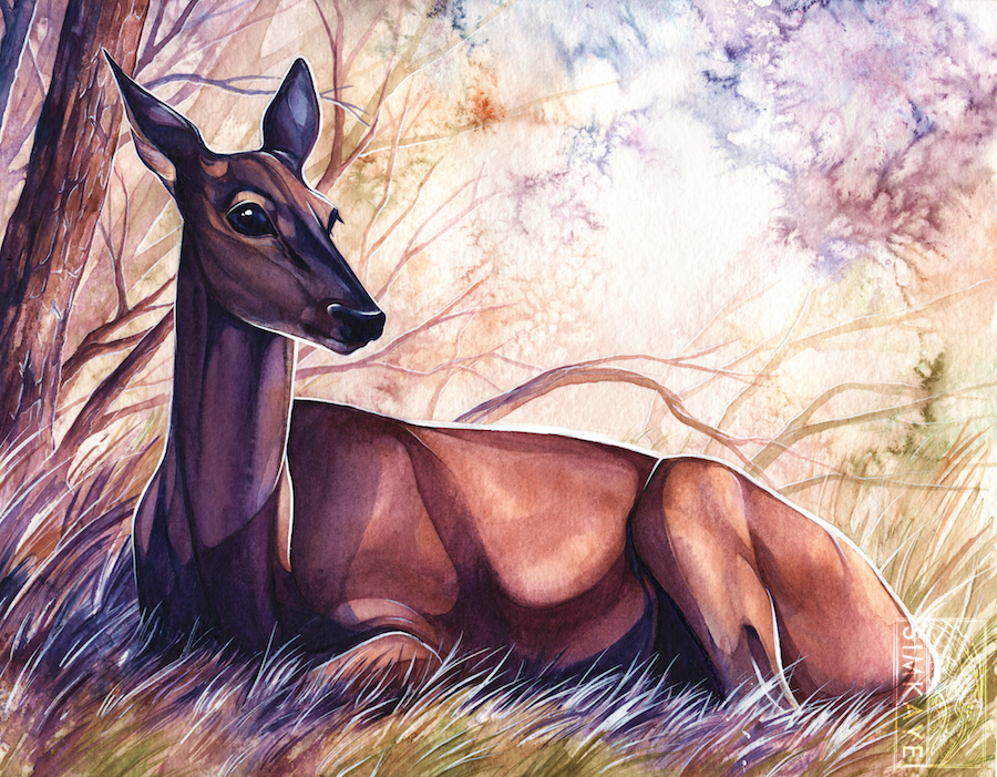 900x701 Doe Watercolour By Simkaye - Watercolor Doe
