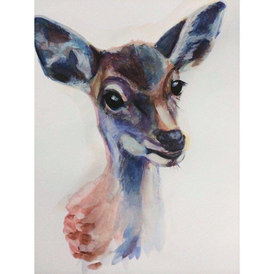 960x960 Image Result For Doe Watercolor With Flower Get Crafty - Watercolor Doe