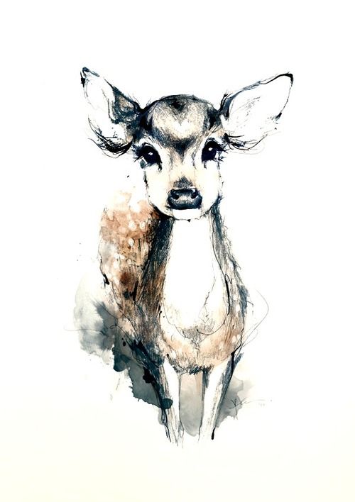 500x708 Collection Of Deer Drawing Watercolor High Quality, Free - Watercolor Doe