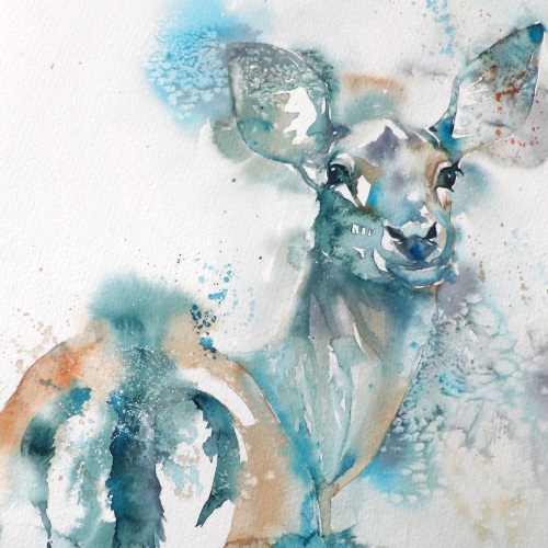 500x500 Liz Chaderton Doe, A Deer - Watercolor Doe