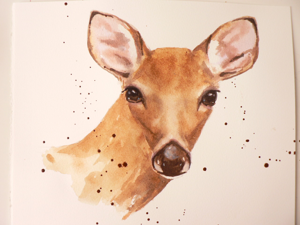 1280x960 Watercolour Demo Of A Doe For Ashley Alison Fennell Art - Watercolor Doe