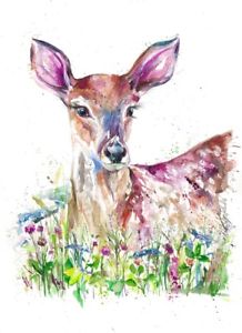 218x300 Collectable A4 Giclee Art Print Watercolour Stag Stags Deer - Watercolor Doe