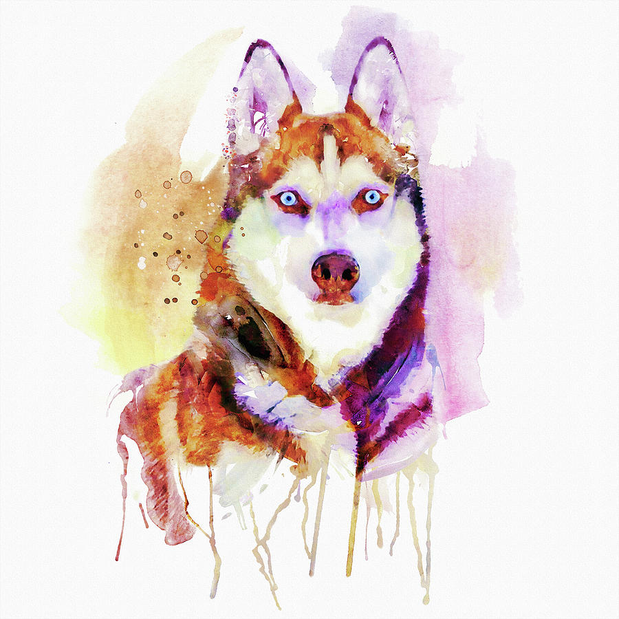900x900 Husky Dog Watercolor Portrait Painting By Marian Voicu - Watercolor Dog