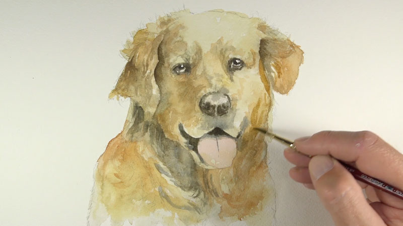 800x450 Watercolor Lesson - Watercolor Dog
