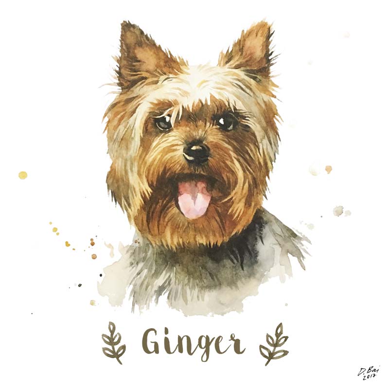 800x800 Watercolor Dog Portrait Farbami - Watercolor Dog
