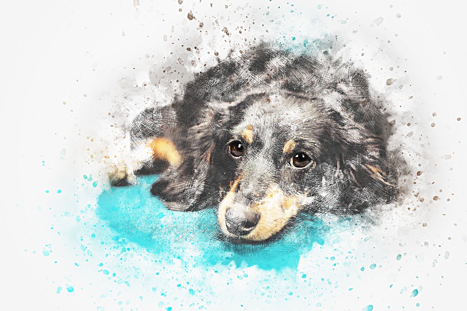 960x640 Free Photo Abstract Watercolor Dog Art Animal Nature Vintage - Watercolor Dog Art