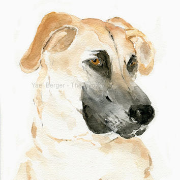 354x354 Best Pet Watercolor Portraits Products On Wanelo - Watercolor Dog Art