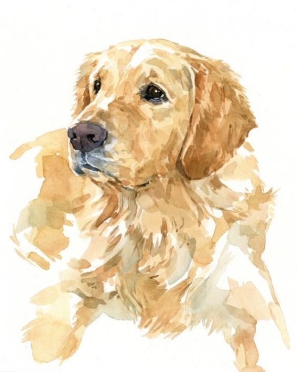 Watercolor Dog Painting