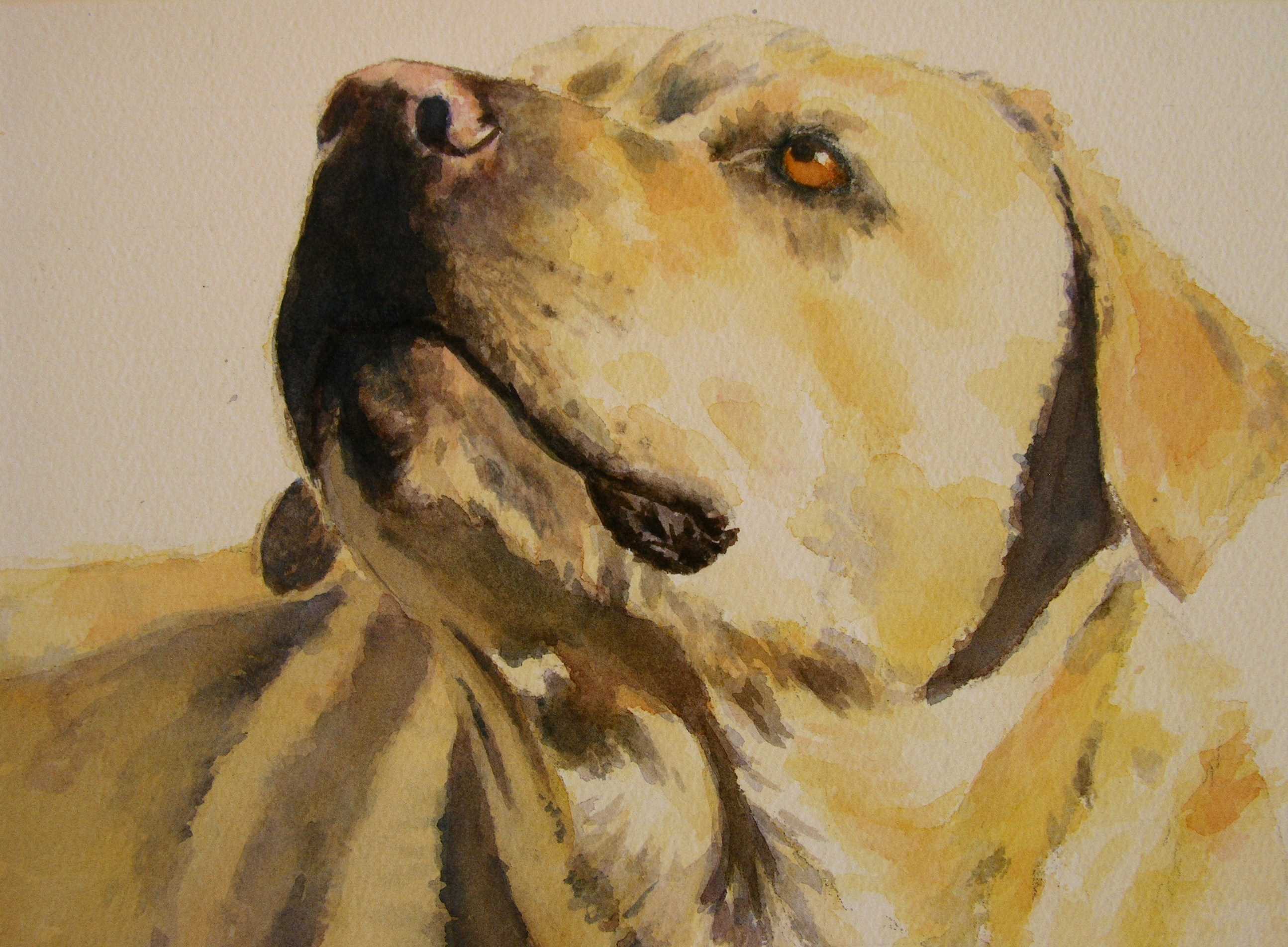 2589x1904 Course Detail - Watercolor Dog Painting