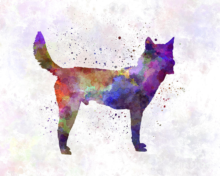 900x720 Korea Jindo Dog In Watercolor Painting By Pablo Romero - Watercolor Dog Painting