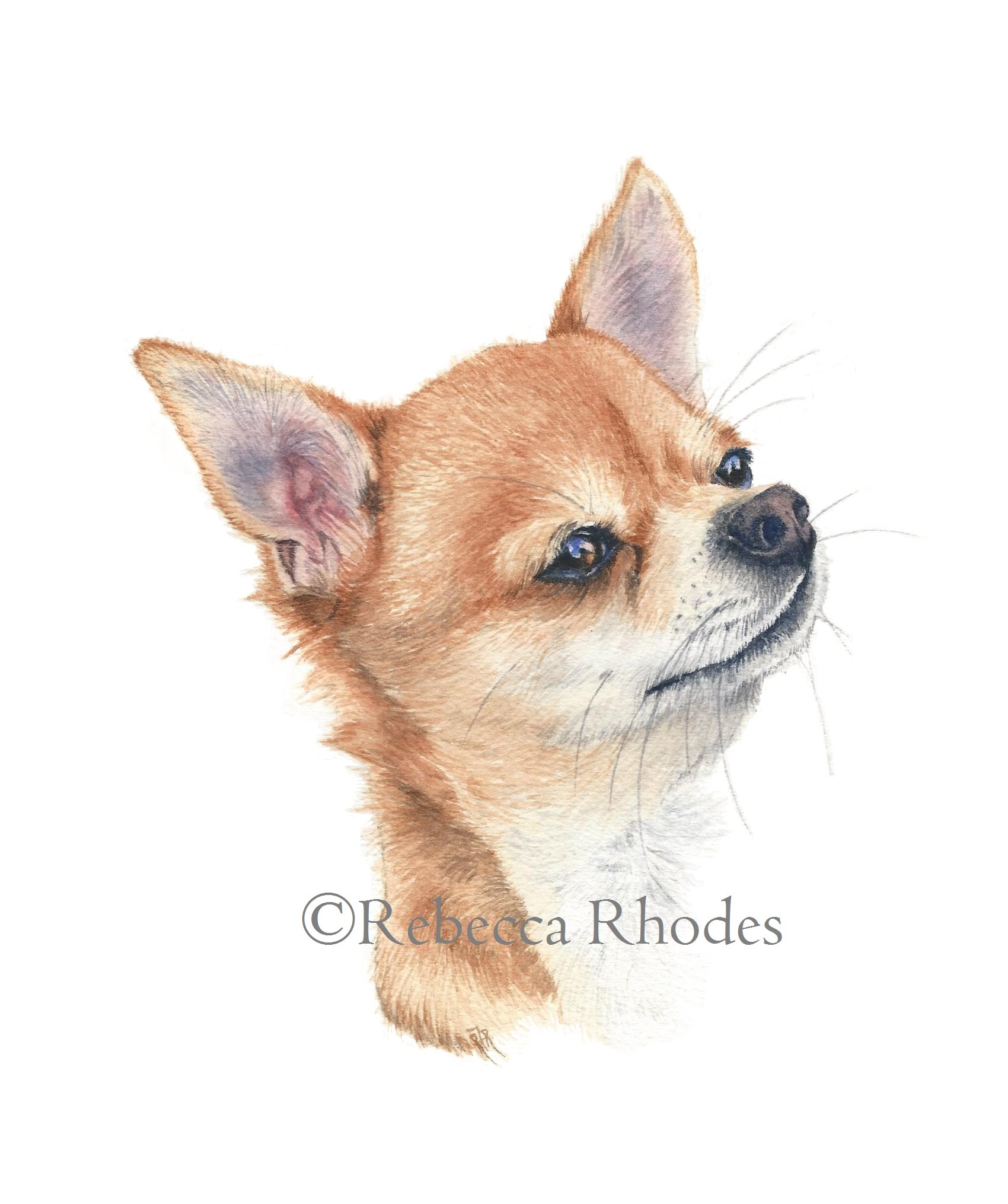 1700x2030 Watercolor Painting Tutorial - Watercolor Dog Painting