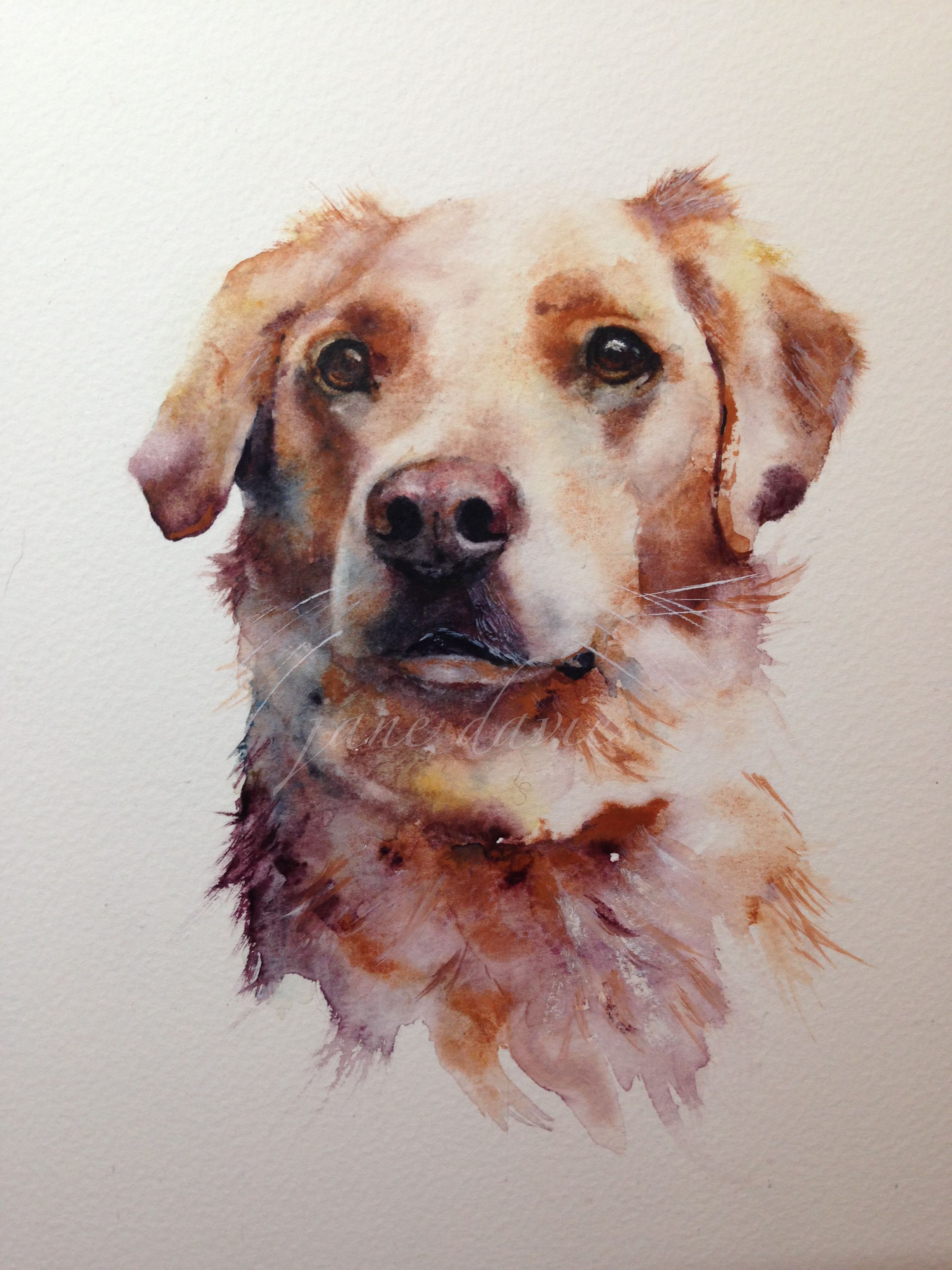 2448x3264 Cross Breed Dog Painting As A Commission By Watercolour Artist - Watercolor Dog Painting