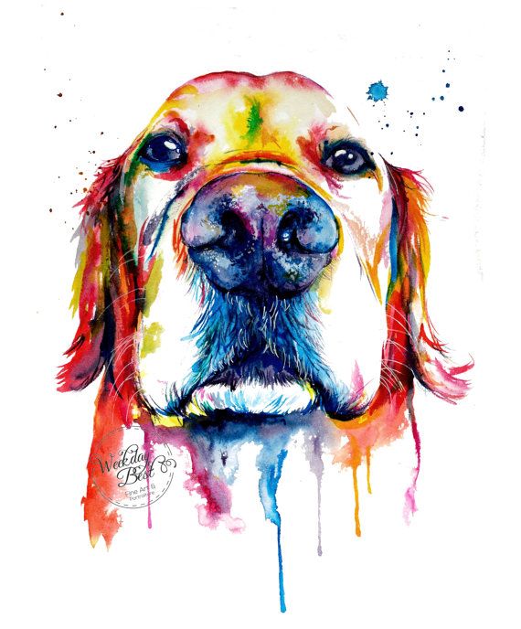 570x688 Colorful Golden Retriever Art Print - Watercolor Dog Painting