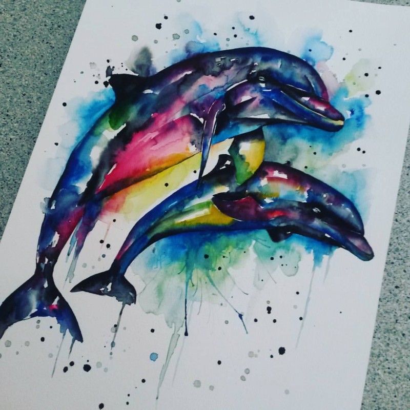 800x800 Image Result For Watercolor Dolphin Tattoos Tattoo - Watercolor Dolphin Tattoo