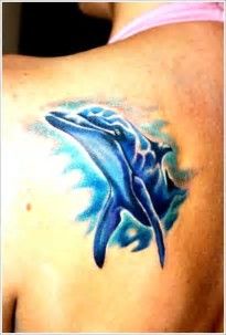 205x303 Image Result For Watercolor Dolphin Tattoos Tattoos - Watercolor Dolphin Tattoo