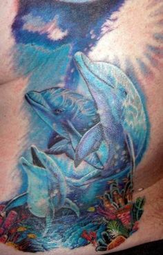 236x369 Pretty Dolphin Tattoos Dolphin Tattoo Picture 2 Dolphin Tattoo - Watercolor Dolphin Tattoo