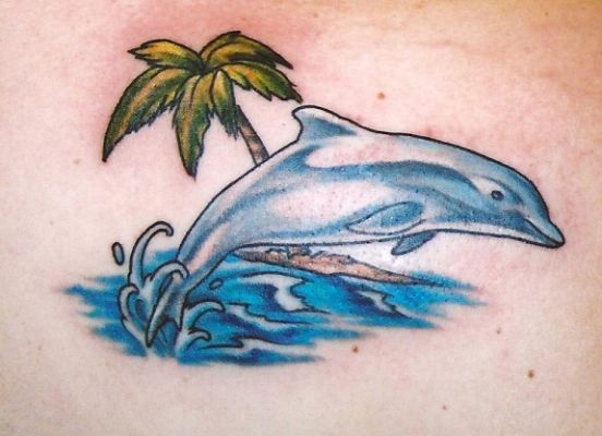 552x400 Com Watercolor Dolphin Tattoo Google Search 631 116 1 K K Tattoo - Watercolor Dolphin Tattoo