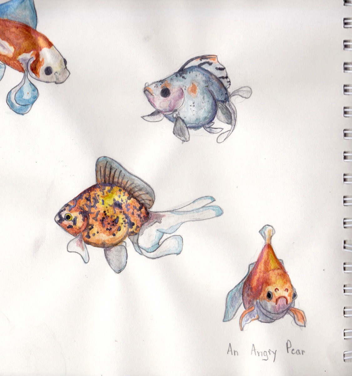 1125x1200 Watercolor Doodles - Watercolor Doodles