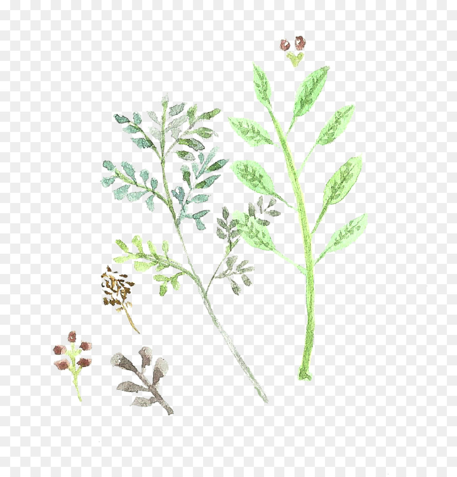 900x940 Doodle Leaf Drawing Watercolor Painting Sticker - Watercolor Doodles