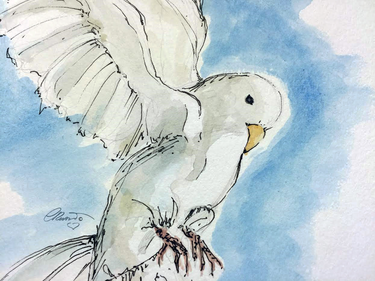 1245x934 Flying Dove Yesterdayafter - Watercolor Dove
