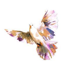 236x236 Image Result For Watercolor Dove Ideas Watercolor - Watercolor Dove